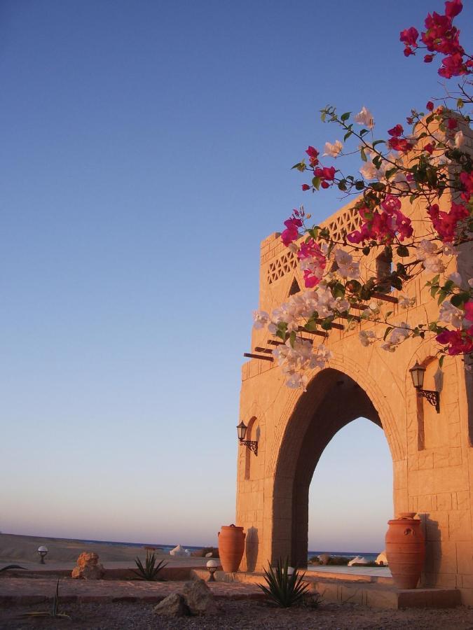 Marsa Shagra Village بيت خشبي أبو ضباب